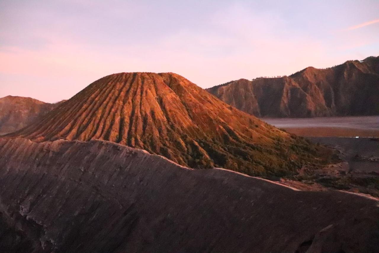 Good Karma Bromo Guesthouse ภายนอก รูปภาพ