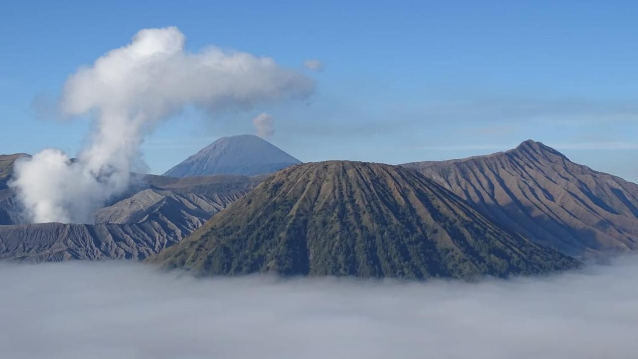 Good Karma Bromo Guesthouse ภายนอก รูปภาพ