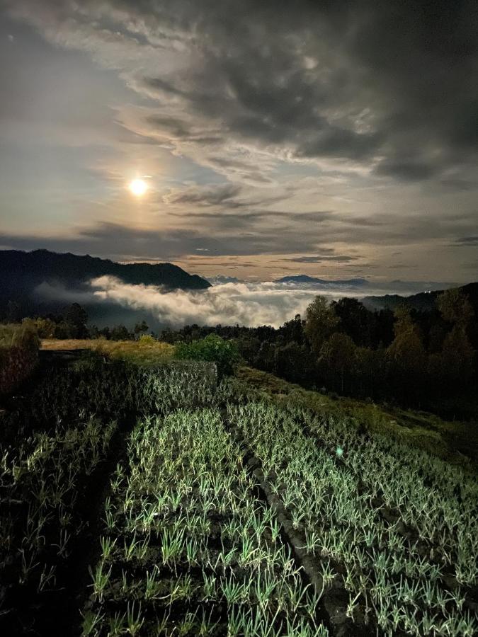 Good Karma Bromo Guesthouse ภายนอก รูปภาพ
